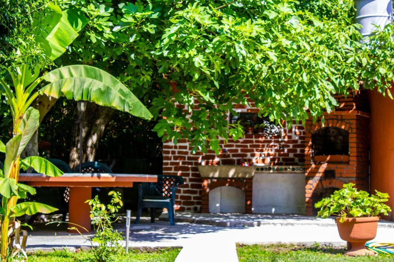 Apartments Rustic 科托尔 外观 照片