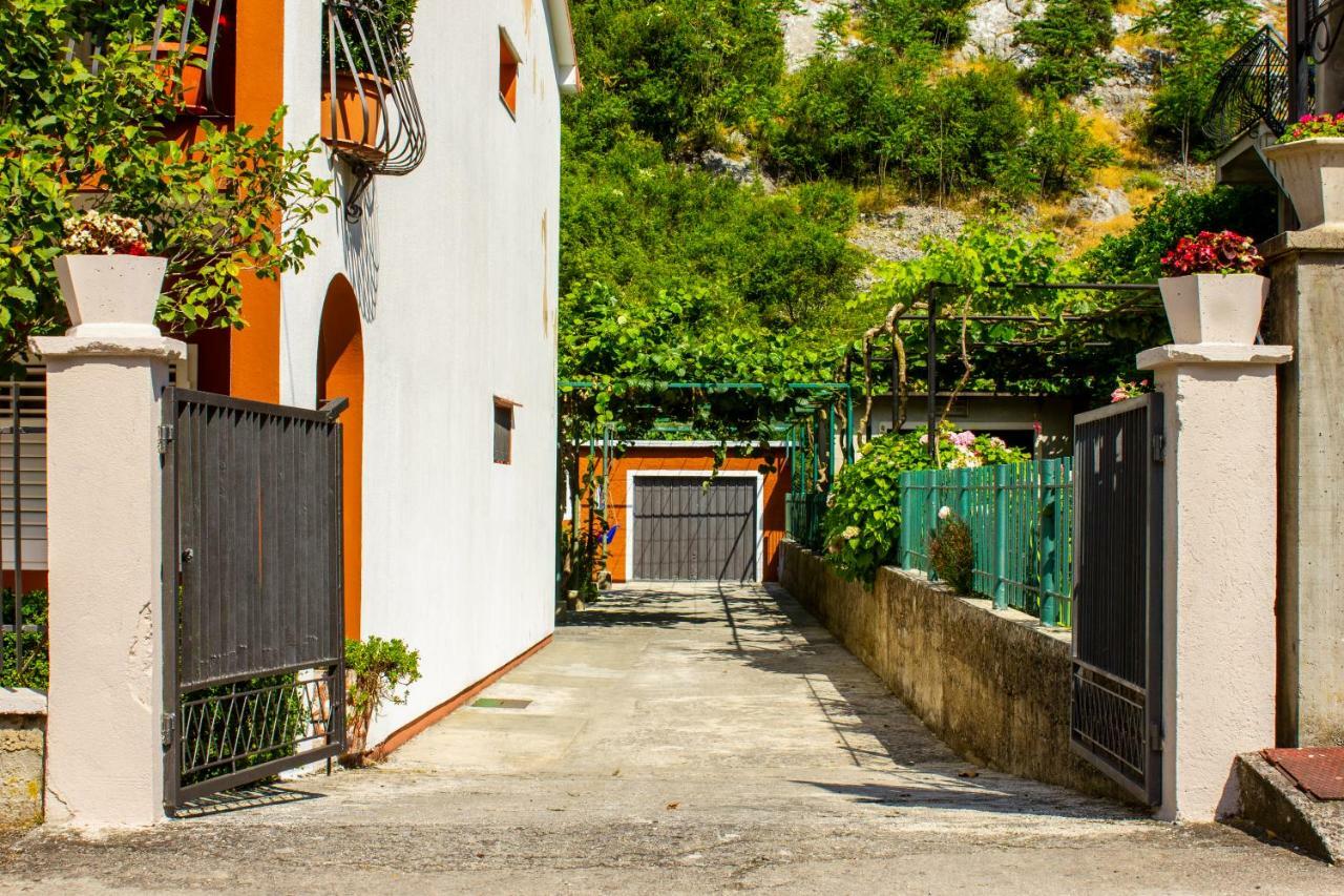 Apartments Rustic 科托尔 外观 照片